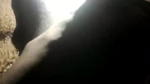 Snapshot of yung_boy42 chatting on November 16, 2:17 am yung_boy42 online show from November 16, 2:17 am