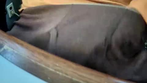 yuppers1234 online show from December 19, 4:36 pm