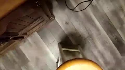 Snapshot of yupthatshim chatting on January 23, 5:35 am yupthatshim online show from January 23, 5:35 am