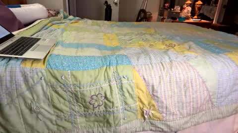 Snapshot of zaddykendoll chatting on January 6, 3:20 am Aiden online show from January 6, 3:20 am