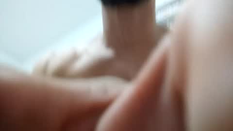 Snapshot of zigfrid666 chatting on June 17, 1:45 pm zigfrid666 online show from June 17, 1:45 pm