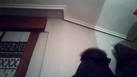 zigor13 online show from February 4, 9:31 pm