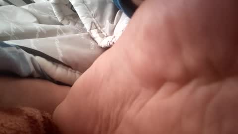 Snapshot of ziyye chatting on November 9, 8:23 am ziyye online show from November 9, 8:23 am