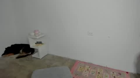 Snapshot of zoe_wattson chatting on April 24, 9:17 pm Zoe online show from April 24, 9:17 pm