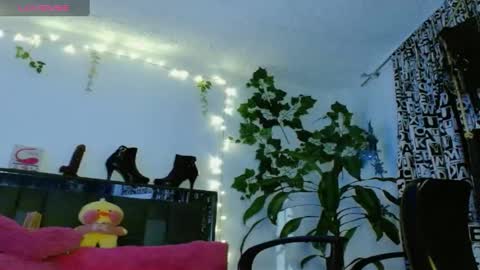 Snapshot of zoemi chatting on January 24, 1:45 am zoemi online show from January 24, 1:45 am