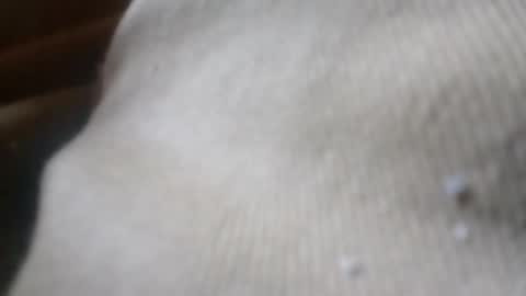 bigdickdaddy online show from June 4, 5:08 pm