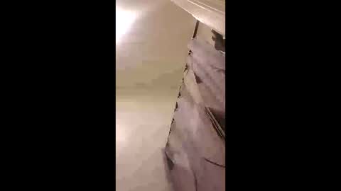 zooted12 online show from February 24, 10:19 pm