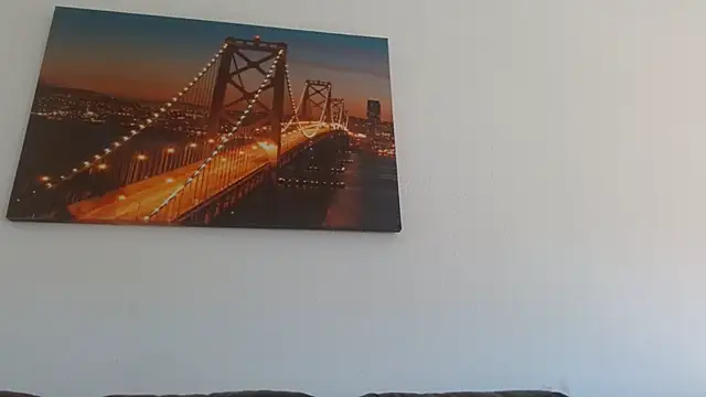 Snapshot of StarZ15 chatting on February 16, 2:00 pm StarZ15 online show from February 16, 2:00 pm