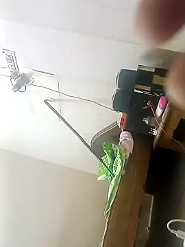 Rupok dulavai online show from October 26, 5:24 am