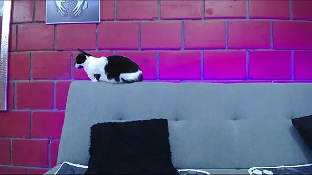 kiara eyes12 online show from February 25, 2:14 am