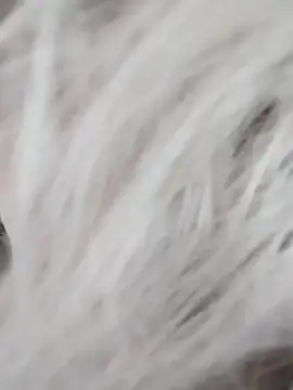 Snapshot of Linda_Gregory chatting on December 9, 7:39 am Linda Gregory online show from December 9, 7:39 am