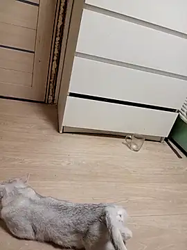 Snapshot of Linda_Gregory chatting on February 18, 11:33 pm Linda Gregory online show from February 18, 11:33 pm