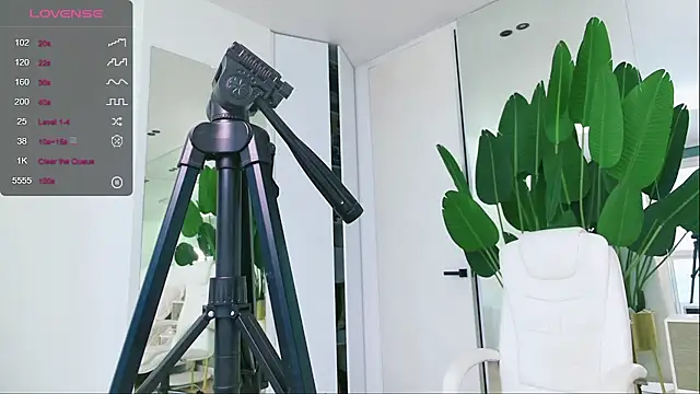 Snapshot of wowEva chatting on January 31, 11:56 am wowEva online show from January 31, 11:56 am