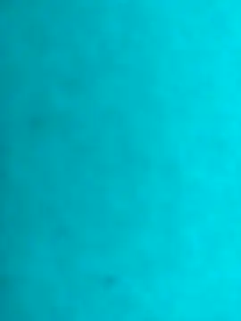 JRock69nKzoo online show from February 21, 12:28 pm