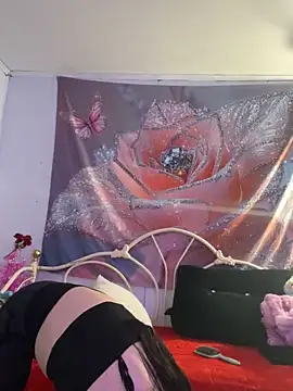 DominiqueX0 online show from February 20, 9:04 pm