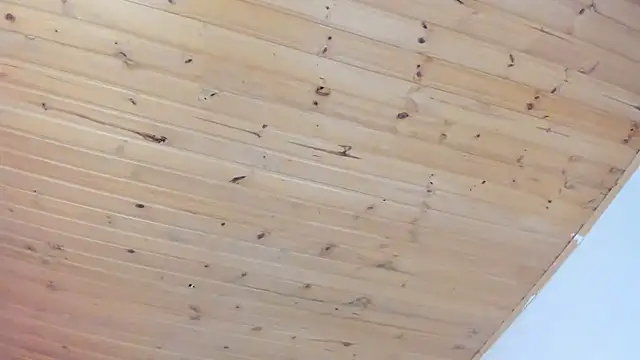 cristal  hot 1 online show from February 1, 4:03 am