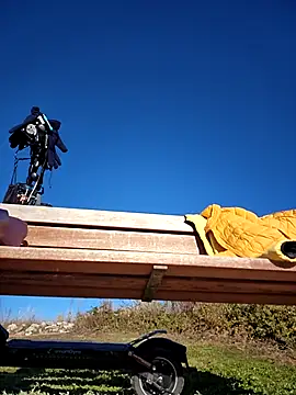 bellapaty online show from December 3, 9:51 am