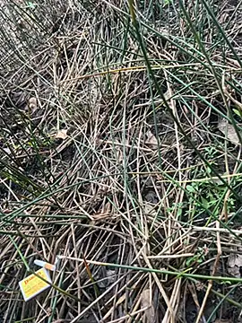 Yurt000 online show from September 16, 4:57 am