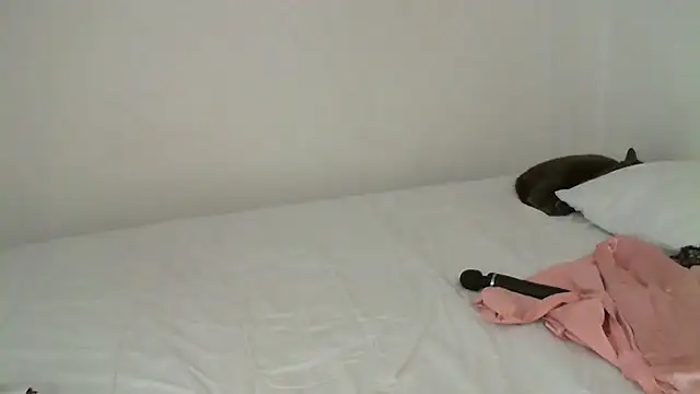 salome  milf online show from February 16, 12:30 am