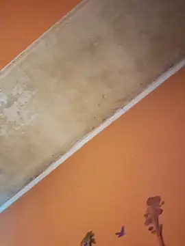 Snapshot of ducicsajsziii chatting on December 19, 12:45 pm ducicsajsziii online show from December 19, 12:45 pm