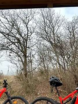 petrouchkaaa  online show from March 2, 9:38 am