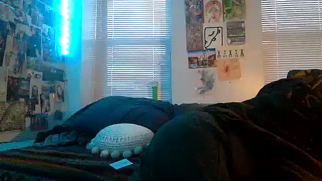 Snapshot of DownstairsSky chatting on December 22, 9:42 pm DownstairsSky online show from December 22, 9:42 pm