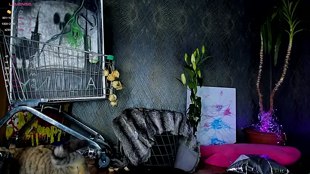 little grinch666 online show from January 30, 7:59 pm