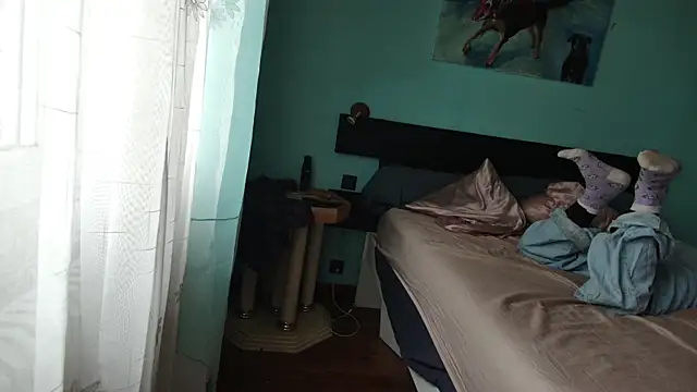 Prxscillia Tx online show from November 11, 1:44 pm