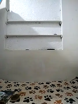 Cameron puppy online show from April 12, 10:20 am