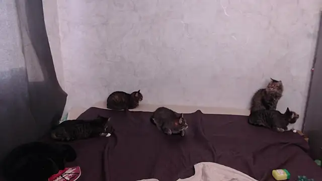 Olivia Winston online show from March 20, 12:54 pm