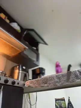 JulianaCastillo online show from April 2, 9:18 am