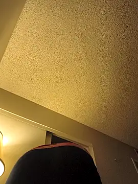 Snapshot of renegade_vyxxen chatting on November 28, 3:53 am renegade vyxxen online show from November 28, 3:53 am