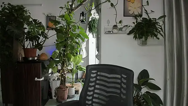 Oliver Nl online show from December 14, 5:02 am