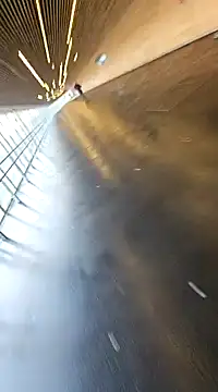 eltoulou online show from January 20, 1:21 pm