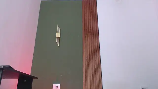 jean sneider online show from December 15, 8:46 pm