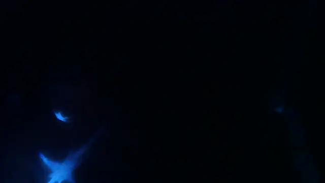 perversalus online show from May 9, 1:22 am