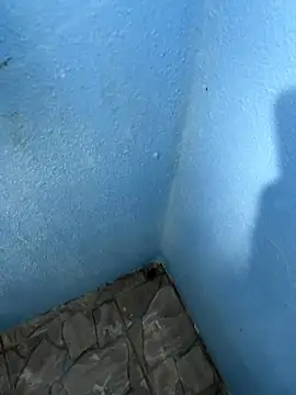 Snapshot of mfloressd14 chatting on January 8, 6:21 pm mfloressd14 online show from January 8, 6:21 pm