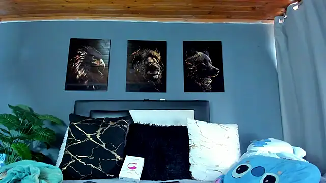 francesco evan online show from January 9, 2:20 pm