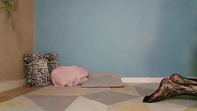 Snapshot of jennytwinkle69 chatting on February 21, 5:09 pm jennytwinkle69 online show from February 21, 5:09 pm