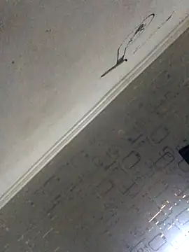 Snapshot of MixedItem chatting on October 20, 10:49 am MixedItem online show from October 20, 10:49 am