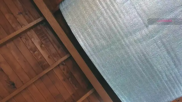 SilvaBranko online show from March 25, 10:05 pm