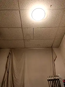 Armyexhibitionistvet online show from April 4, 7:17 am