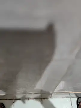 joejoe7 online show from November 17, 1:33 am