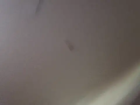 Snapshot of Gin4Cole chatting on September 25, 11:52 pm Gin4Cole online show from September 25, 11:52 pm