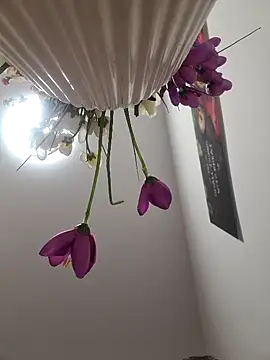 CoupleHot 69 DreamSex online show from March 6, 4:47 pm