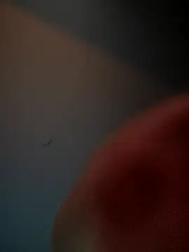 Snapshot of lolabun247 chatting on November 2, 10:50 am lolabun247 online show from November 2, 10:50 am