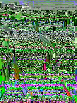 Vikki toriya online show from March 1, 5:15 pm