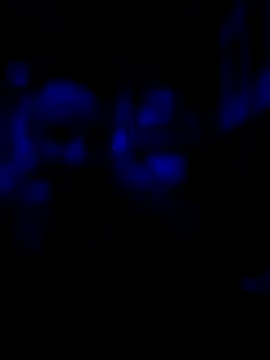 Snapshot of AlphaAlluring69 chatting on May 11, 5:46 am AlphaAlluring69 online show from May 11, 5:46 am
