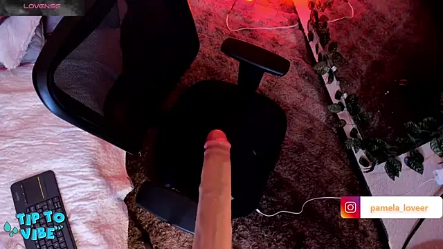 Snapshot of pamela_bell chatting on February 3, 8:57 pm pamela bell online show from February 3, 8:57 pm