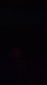 pachapeter online show from October 4, 8:29 pm